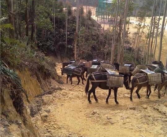 珠海马帮山路运输