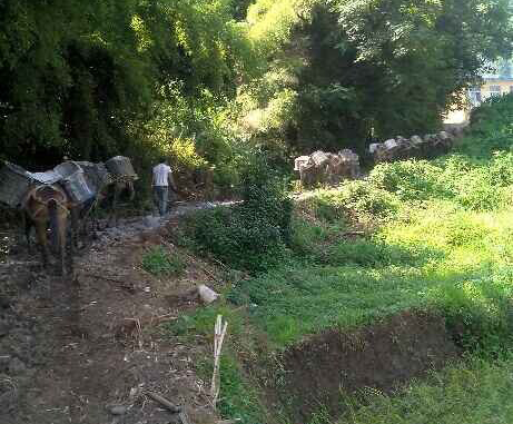 珠海马帮运输队