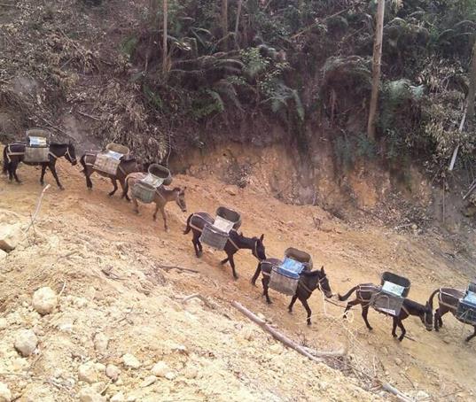 珠海山路马帮运输