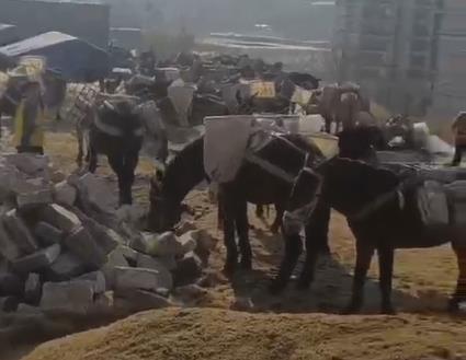 珠海马队山路运输