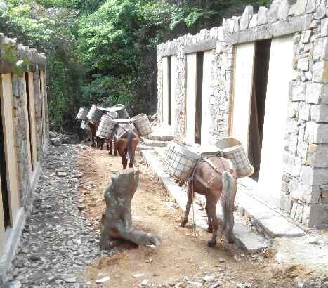 珠海马队运输队