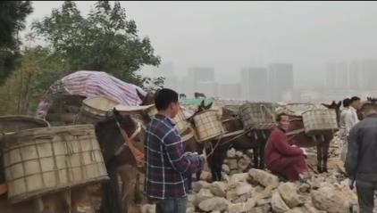 珠海骡马山区运输