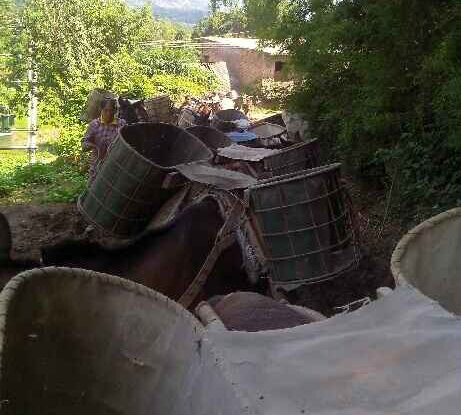 珠海骡马运输队