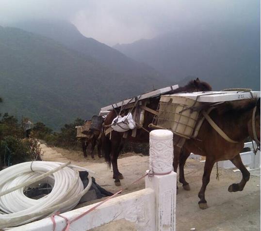珠海山区马帮运输